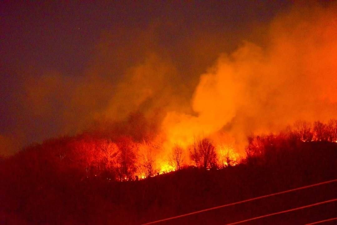  Ordu'nun Çatalpınar ilçesi