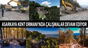 ASARKAYA KENT ORMANI’NDA ÇALIŞMALAR DEVAM EDİYOR