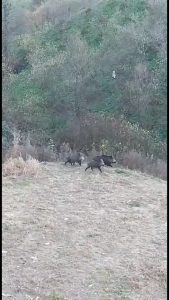 ORDU’DA SOKAĞA ÇIKMA YASAĞINDA GÜNDÜZ GÖRÜNTÜLENDİLER