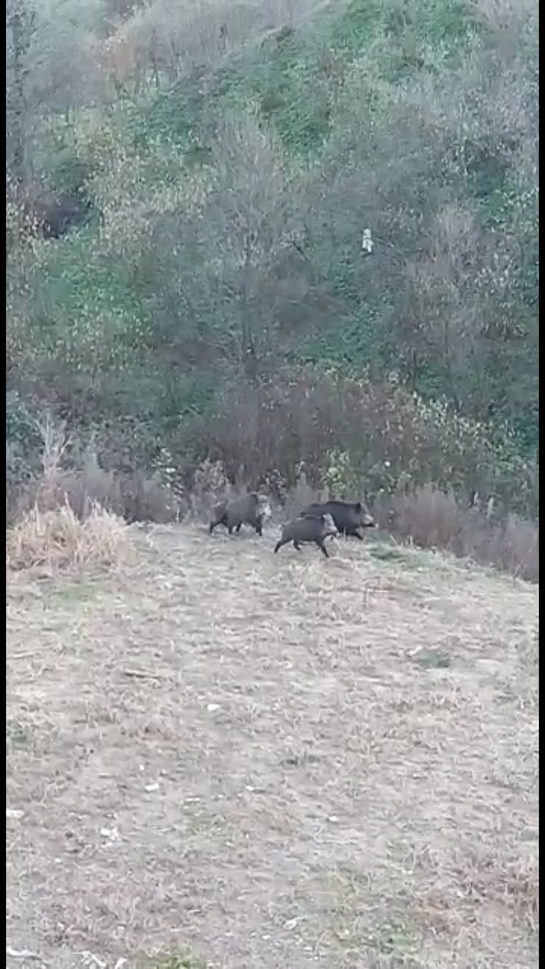 Ordu'nun Ünye İlçesinde 