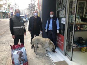 DÜNYA SOKAK HAYVANLARI GÜNÜ UNUTULMADI