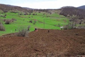 ORDU’NUN ATIL ARAZİLERİ YENİDEN TARIMLA BULUŞTU