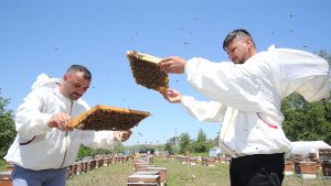 ORDU’DA ANA ARI TALEBİNE YETİŞEMİYORLAR