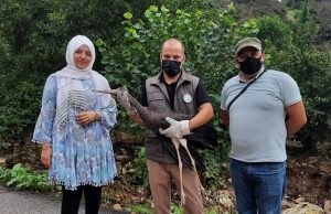 NADİR GÖRÜLEN KARA LEYLEK ORDU’DA KORUMA ALTINA ALINDI