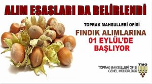 TMO 1 EYLÜL’DE ALIMLARA BAŞLIYOR