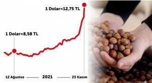 DOLAR ARTIŞI FINDIĞIN 3’TE 1’İNİ YEDİ