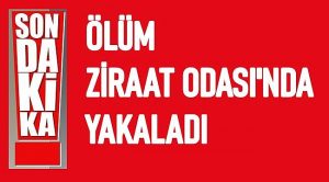 ÖLÜM ZİRAAT ODASINDA YAKALDI