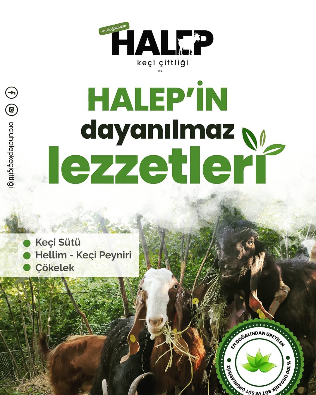 ORDU HALEP KEÇİ ÇİFTLİĞİ