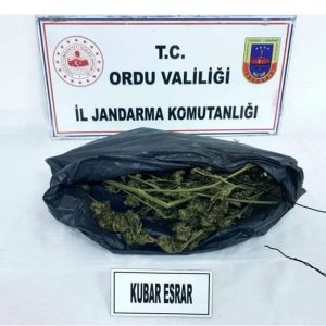 ORDU’DA UYUŞTURUCUYA GEÇİT YOK