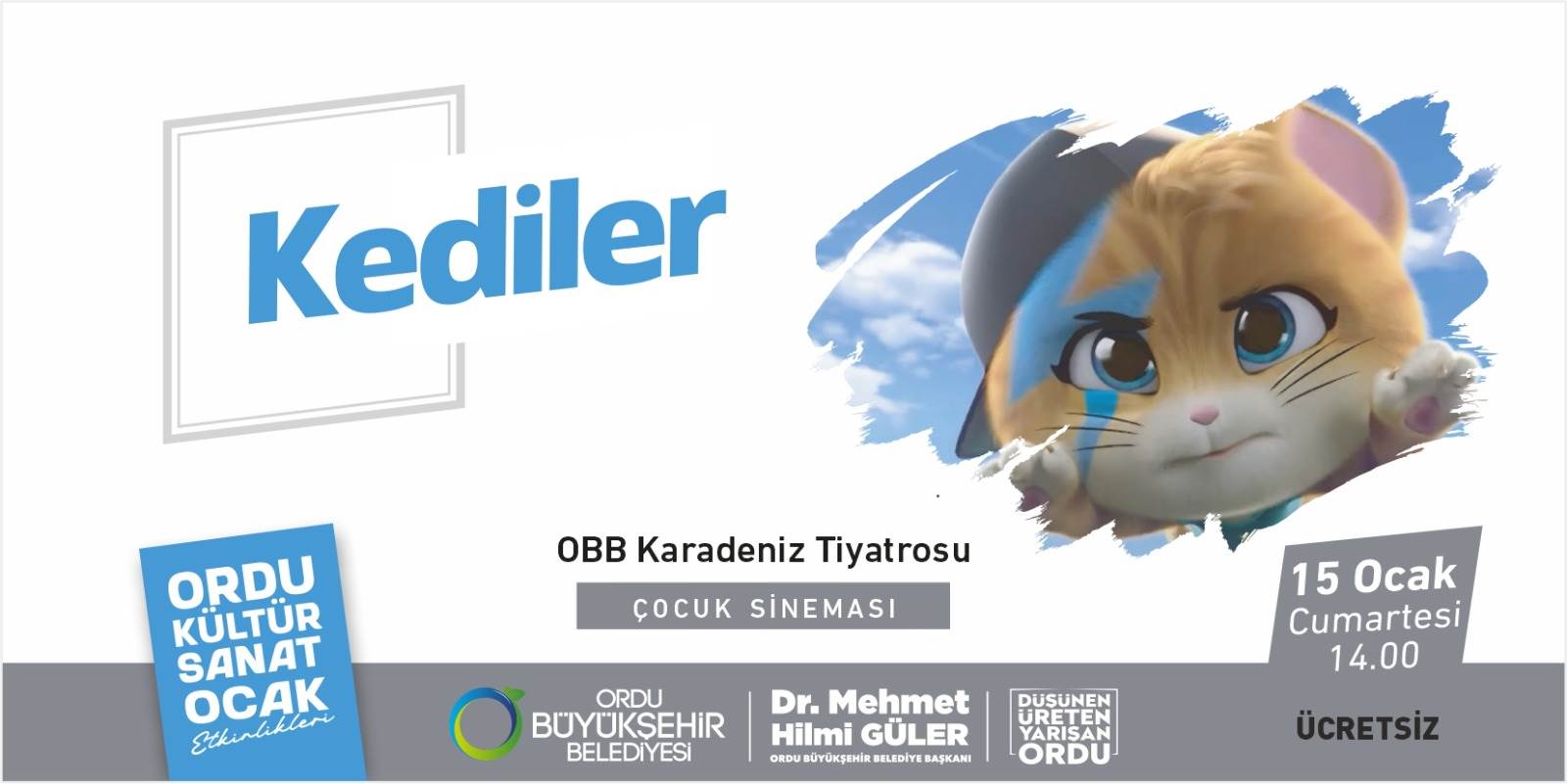 Ordu Büyükşehir Belediyesi, kültür