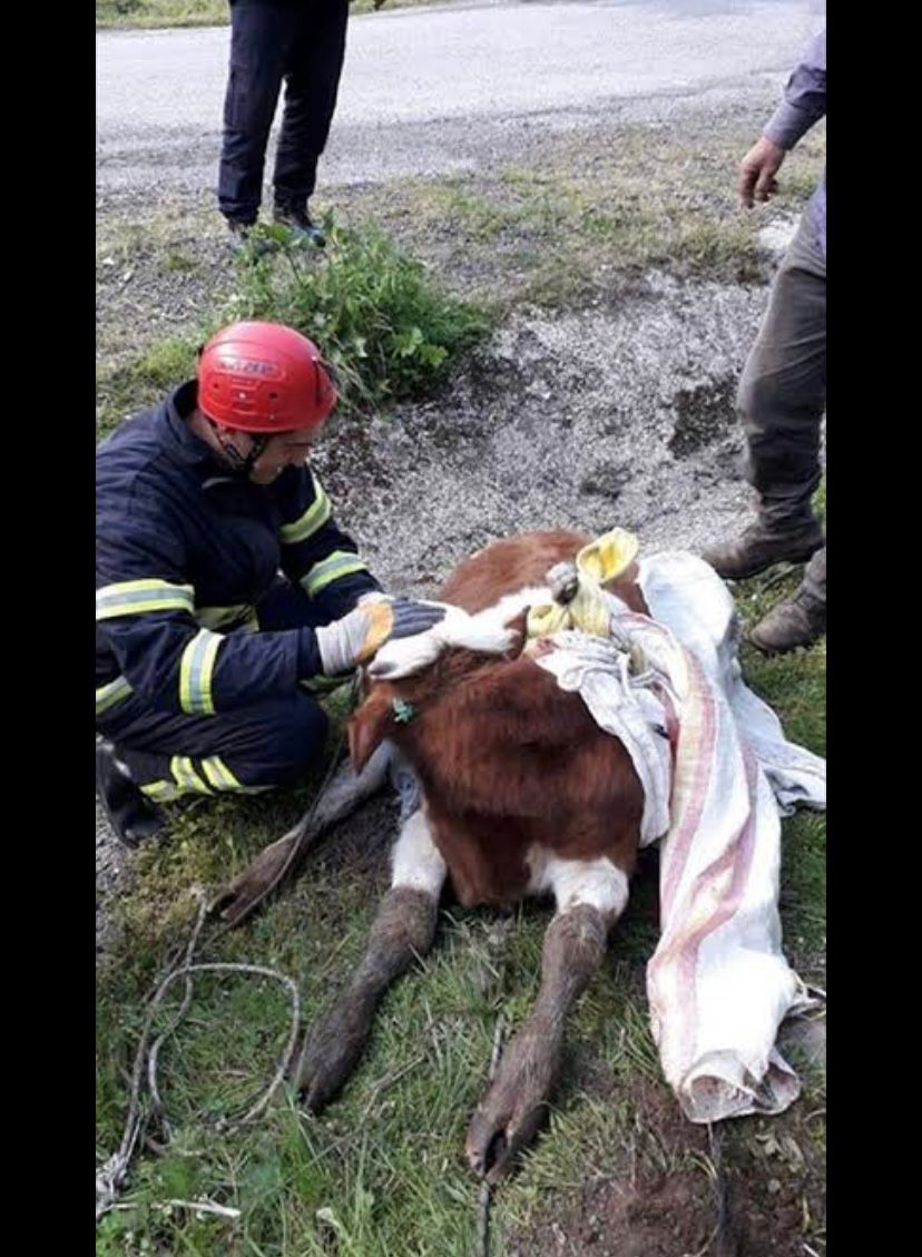 Ordu’nun Kumru ilçesinde dereye