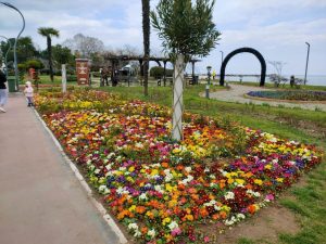 ORDU, ÇİÇEKLERLE SÜSLENDİ