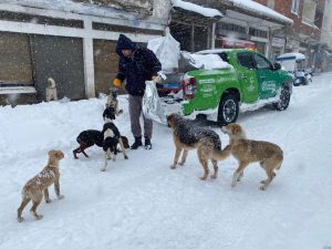 OLUMSUZ HAVA KOŞULLARINDAN ETKİLENEN CANLAR UNUTULMADI