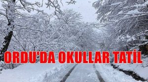 ORDU’NUN TAMAMINDA OKULLAR TATİL EDİLDİ