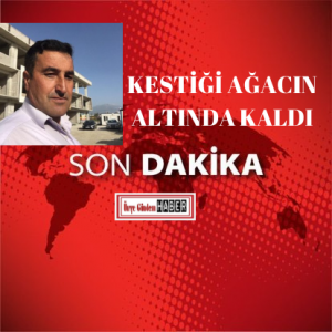 kestiği ağacın altında kalarak hayatını kaybetti