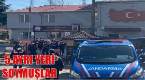 HIRSIZLAR YAKALANDI