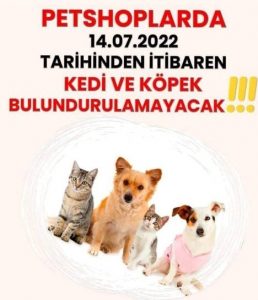 KEDİ VE KÖPEKLER ARTIK PETSHOPLARDA SATILAMAYACAK