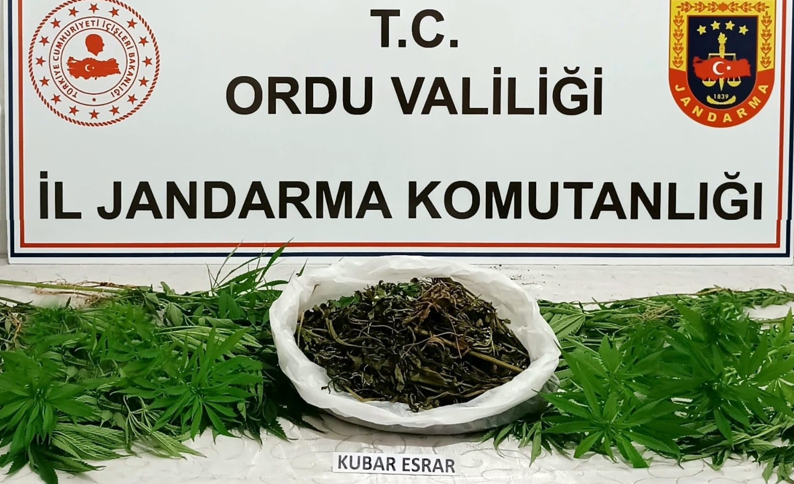 Ordu İl Jandarma Komutanlığınca