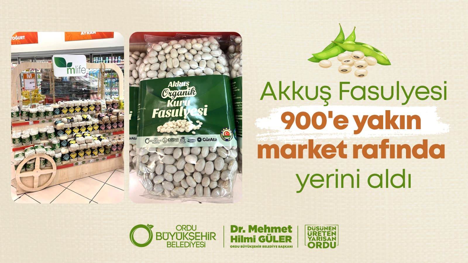 Ordu Büyükşehir Belediye Başkanı