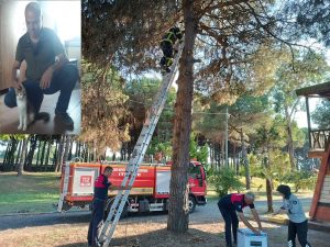 AĞAÇTA MAHSUR KALAN ANNE KEDİ VE YAVRUSU KURTARILDI