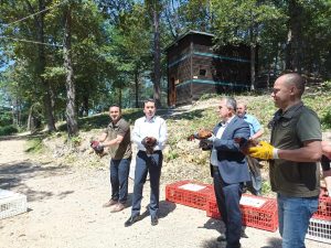 ORDU’DA YABAN HAYATINI GELİŞTİRMEK İÇİN DOĞAYA SÜLÜN SALINDI