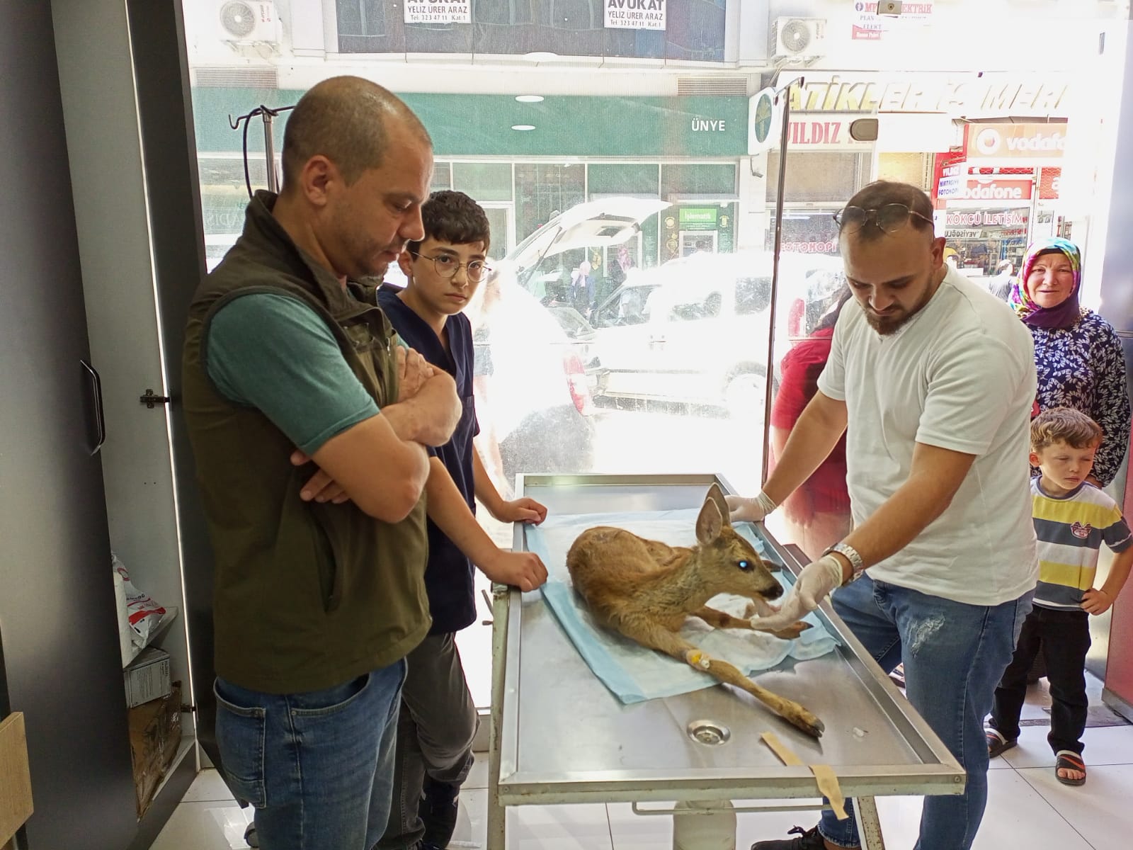 Ordu'nun Çaybaşı ilçesi Köklük