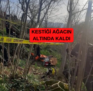 KESTİĞİ AĞACIN ALTINDA KALDI