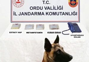 ÜNYE’DE UYUŞTURUCU OPERASYONU