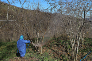 BAŞKAN HİLMİ GÜLER’İN BAŞLATTIĞI ÇALIŞMA 19 İLÇE’DE YOĞUN TALEP GÖRÜYOR