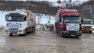 Deprem Bölgesine Ordu’dan Yapılan Yardımlar Devam Ediyor