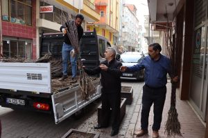 BAŞKAN GÜLER’İN TARIM PROJELERİ HIZ KESMİYOR