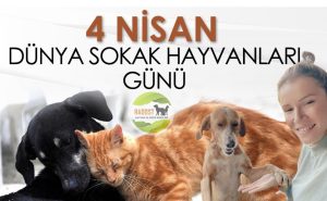 HADOST’TAN “4 NİSAN DÜNYA SOKAK HAYVANLARI GÜNÜ” MESAJI