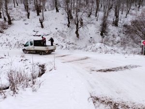 ORDU IŞIL IŞIL OLDU