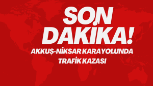 AKKUŞ-NİKSAR KARAYOLUNDA TRAFİK KAZASI