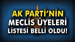 AK PARTİ’NİN MECLİS ÜYELERİ LİSTESİ BELLİ OLDU