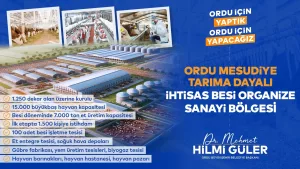 KARADENİZ’İN VE ORDU’NUN KADERİNİ DEĞİŞTİRECEK MEGA PROJE