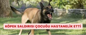 KÖPEK SALDIRISI ÇOCUĞU HASTANELİK ETTİ