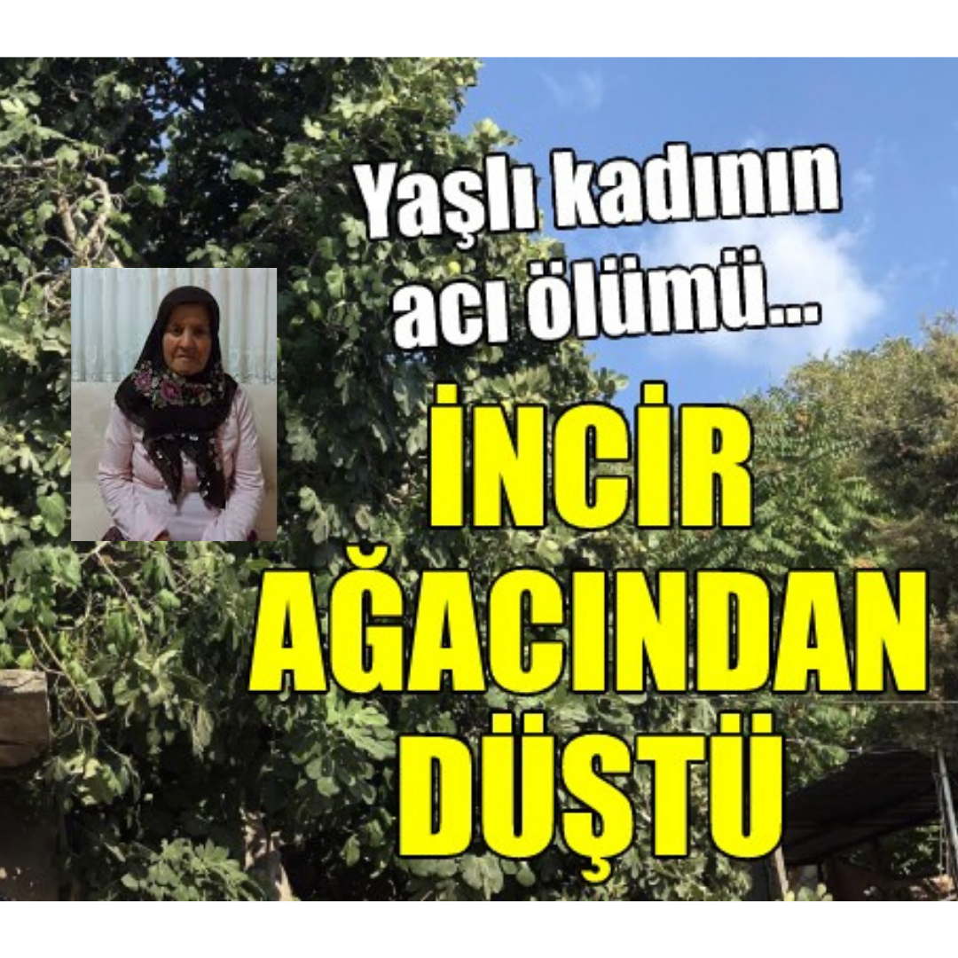 Ordu’nun Altınordu ilçesine bağlı