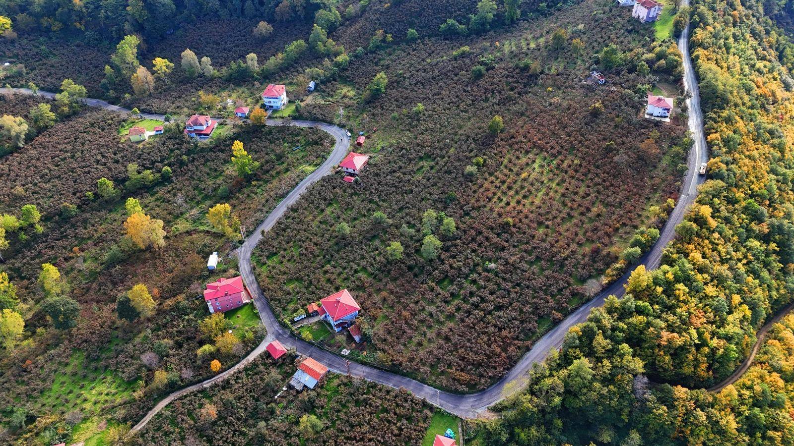 ALTINORDU ŞENKÖY’DE ASFALT SEVİNCİ