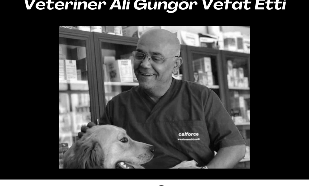 Veteriner Ali Güngör Vefat