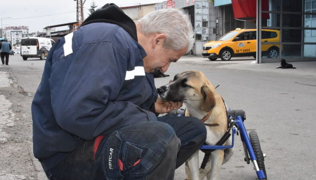 Tamir Ustası Köpeğini 4