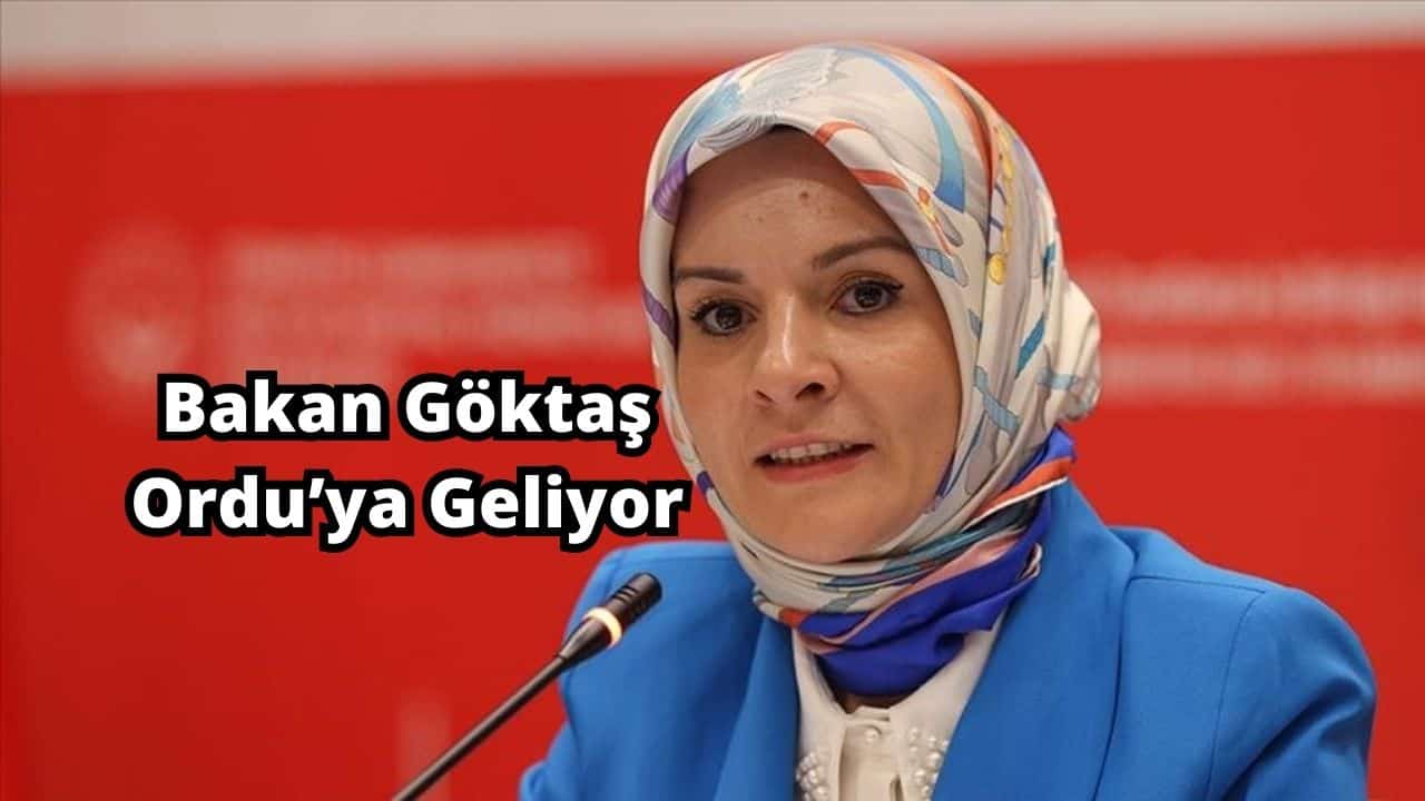 bakan goktas