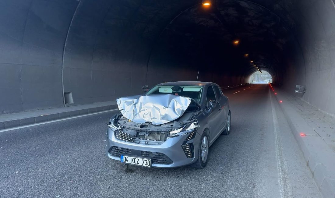 Fatsa-Ordu Yolunda Trafik Kazası